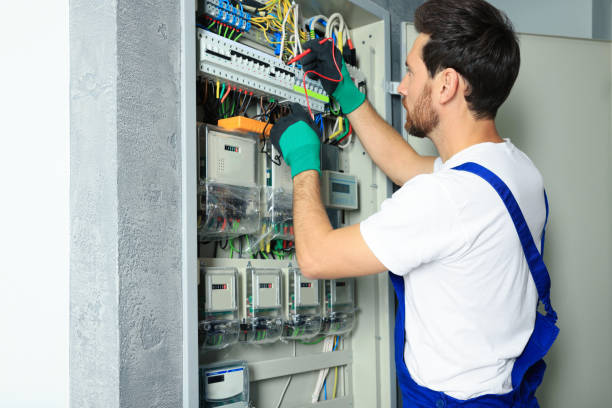 Best Electric Panel Repair  in Perry, FL